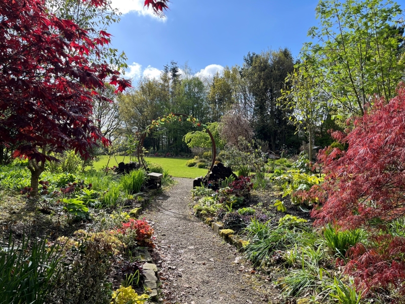 Weeping Ash Garden